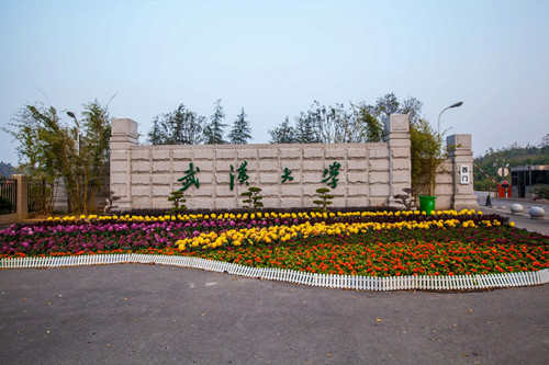 武漢大學考點