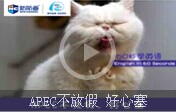 【60s學英語】APEC不放假，好心塞 